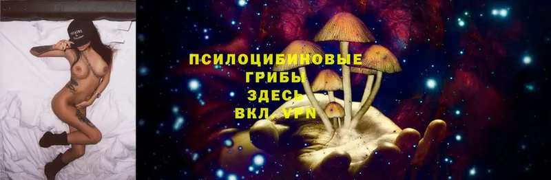 гидра вход  Курск  Псилоцибиновые грибы Psilocybine cubensis 